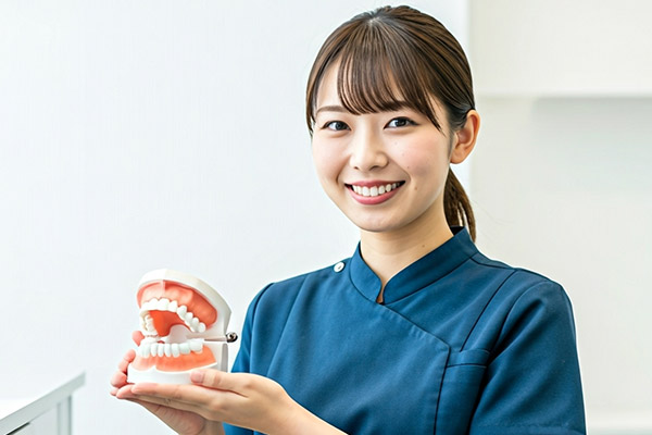 歯の模型を持つ女性歯科医師